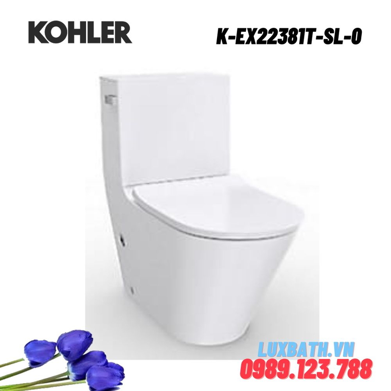 Bồn cầu hai khối Kohler K-EX22381T-SL-0 nắp đóng êm