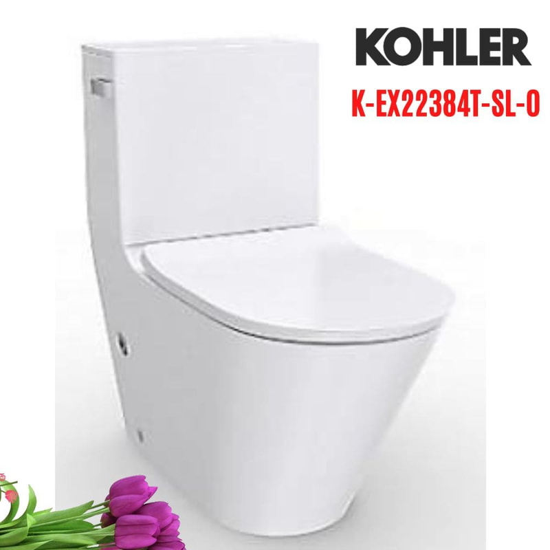Bồn cầu hai khối Kohler K-EX22384T-SL-0 nắp đóng êm