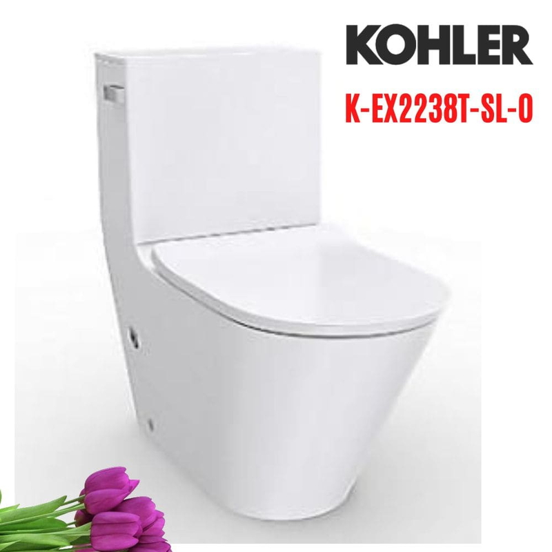 hai khối Kohler K-EX2238T-SL-0