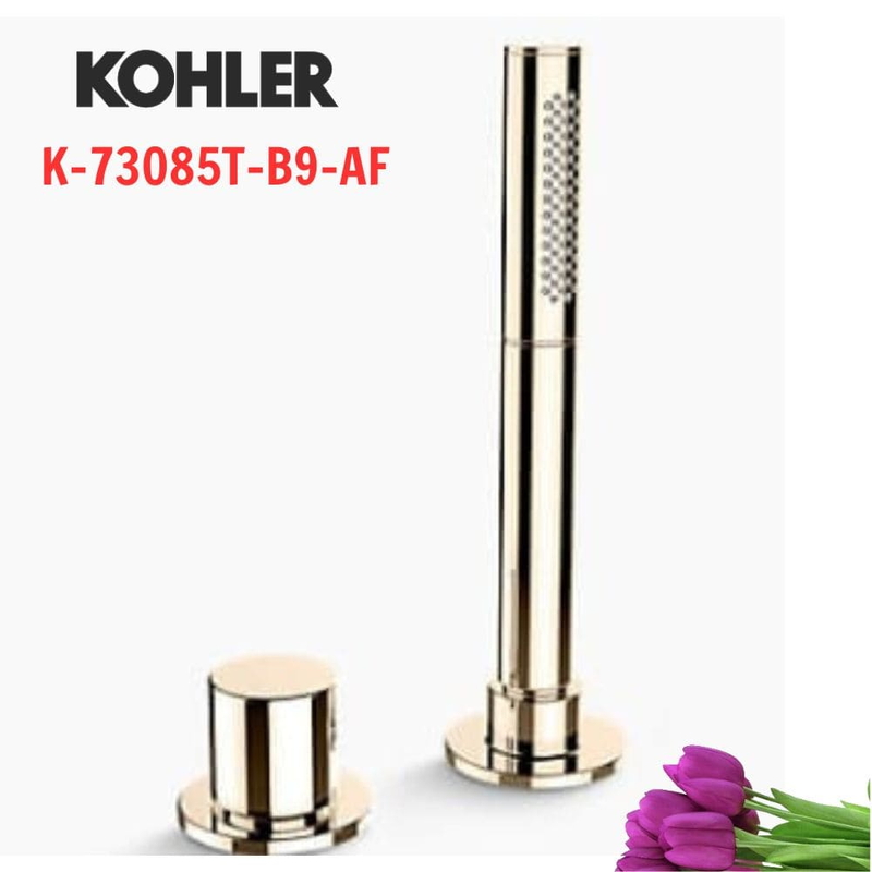 Vòi bồn tắm đặt sàn Kohler K-73085T-B9-AF