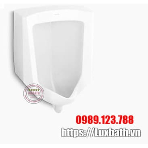 Bồn tiểu nam treo tường Kohler K-4960T-ER-0