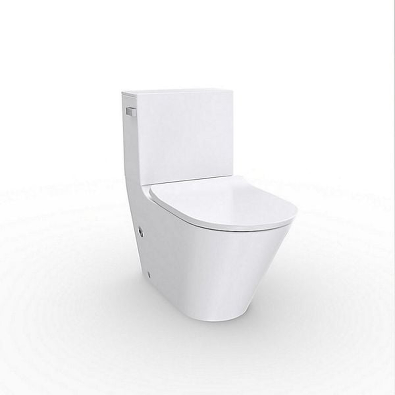 Bồn cầu hai khối Kohler K-EX22381T-SL-0 nắp đóng êm