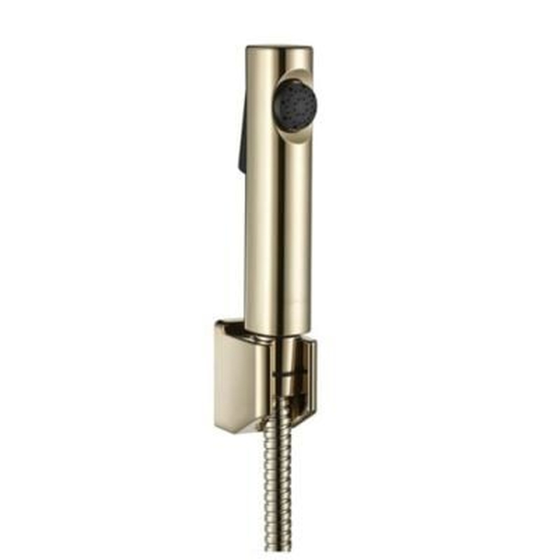 Vòi xịt Kohler K-98100X-AF