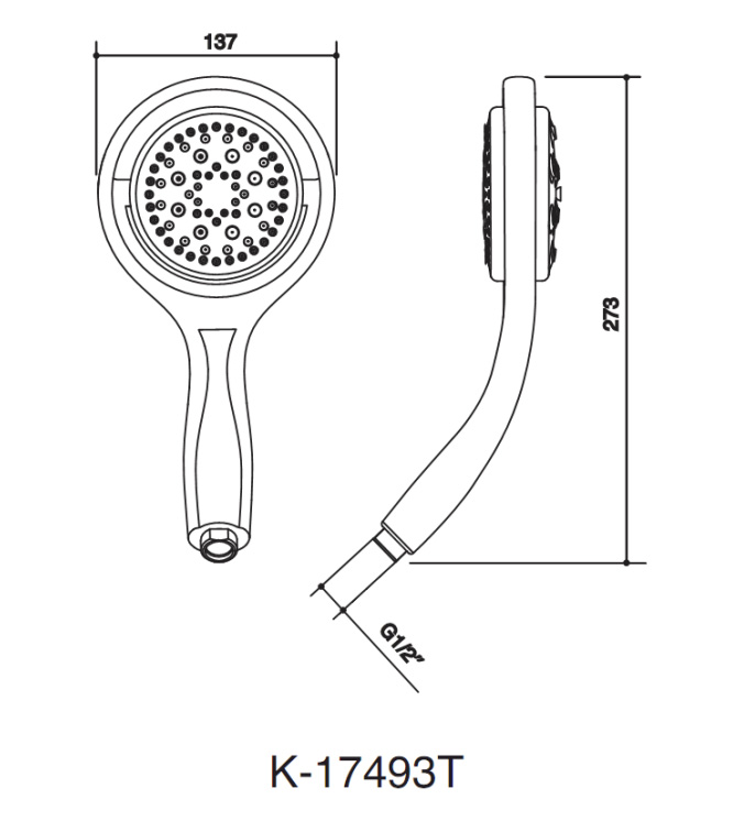 Bản vẽ kỹ thuật vòi sen cầm tay Kohler K-17493T-CP